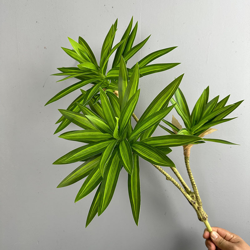 Dracaena Marginata - シミュレートされた緑の植物、3つの頭を持つユリの竹、ドラセナ・サンデリアナで飾られた人工植物、家の結婚式のデスクトップ装飾用