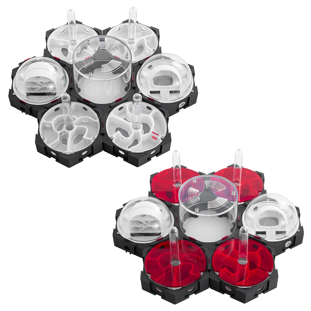 3D 印刷アリの巣無限に拡張可能なアリファームペットアリの巣 - Begonia Rex のレビューと価格
