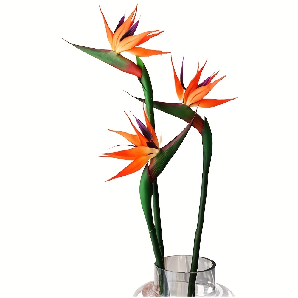 3 個人工極楽鳥の花ゴムストレリチア 24.5 インチ長さの - Bird Paradise Strelitzia のレビューと価格