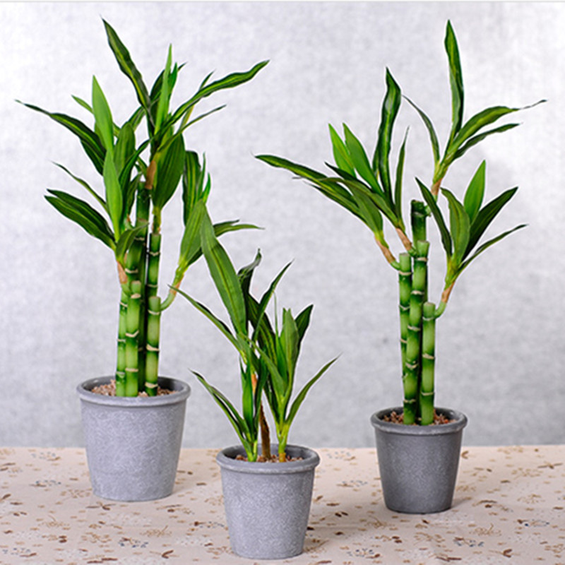 新しい40cm人工ラッキーバンブー多肉植物フェイクプラントフ - Dracaena Marginata のレビューと価格
