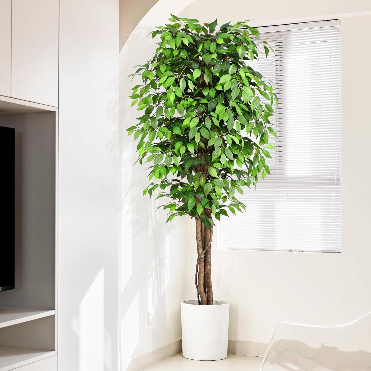 本物そっくりの人工フィカスツリー、自然な幹と豊かな葉が特徴、 - Monstera Adansonii のレビューと価格