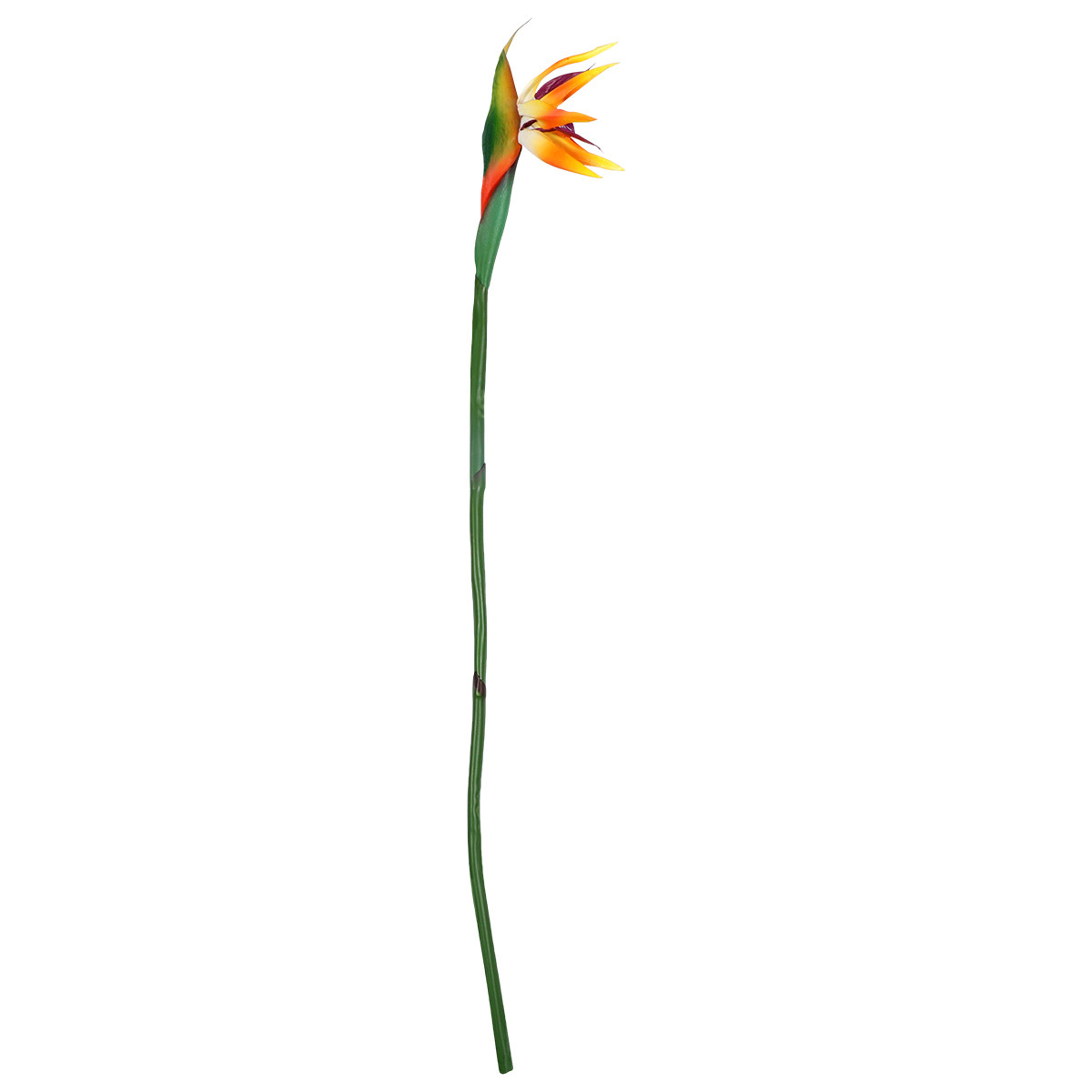 リアルタッチの造花、スレリツィア（鳥の楽園の花）、柔らかい茎 - Bird Paradise Strelitzia のレビューと価格