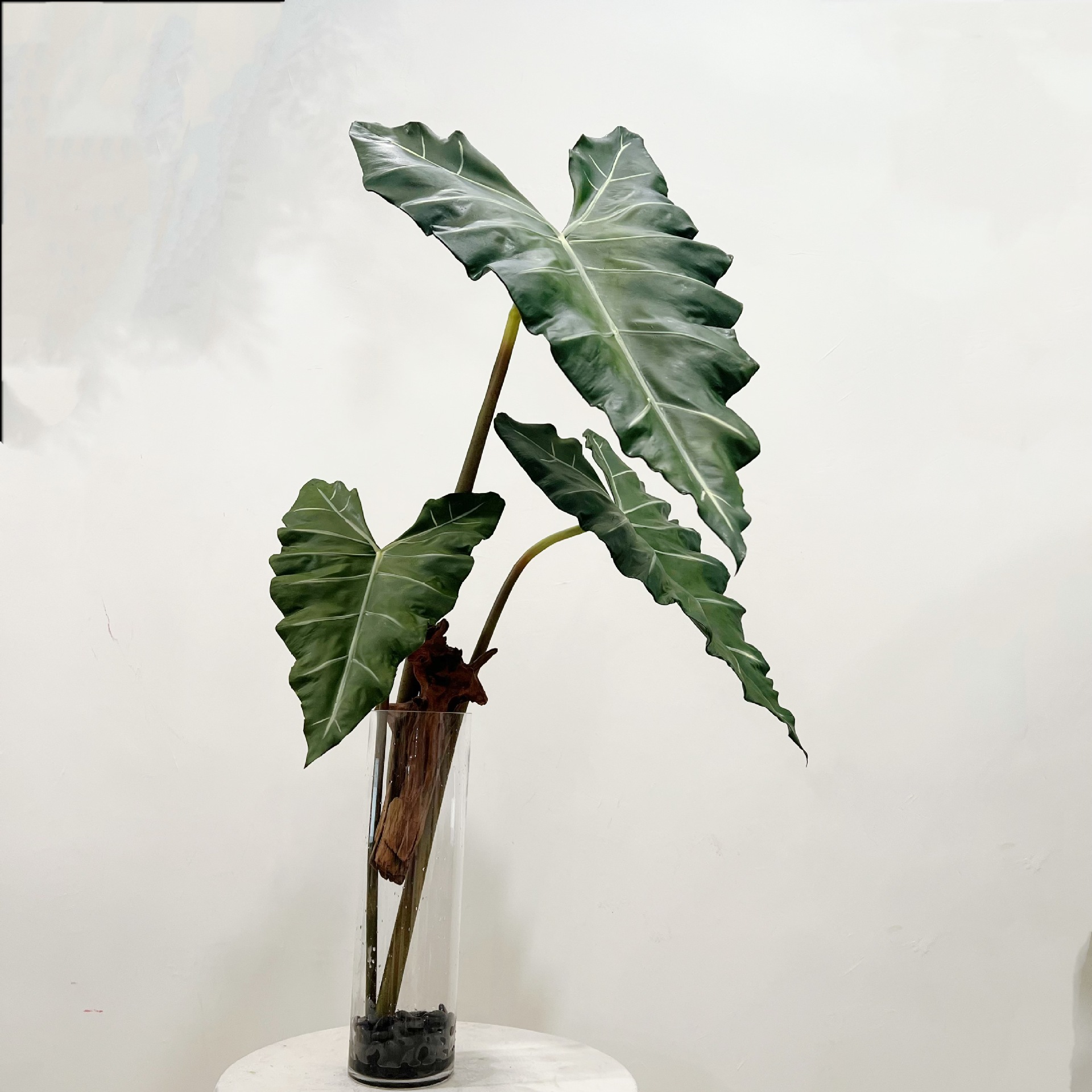 人工の長い人工緑の植物,人工の葉,室内装飾用,パーティーテー - Dracaena Marginata のレビューと価格