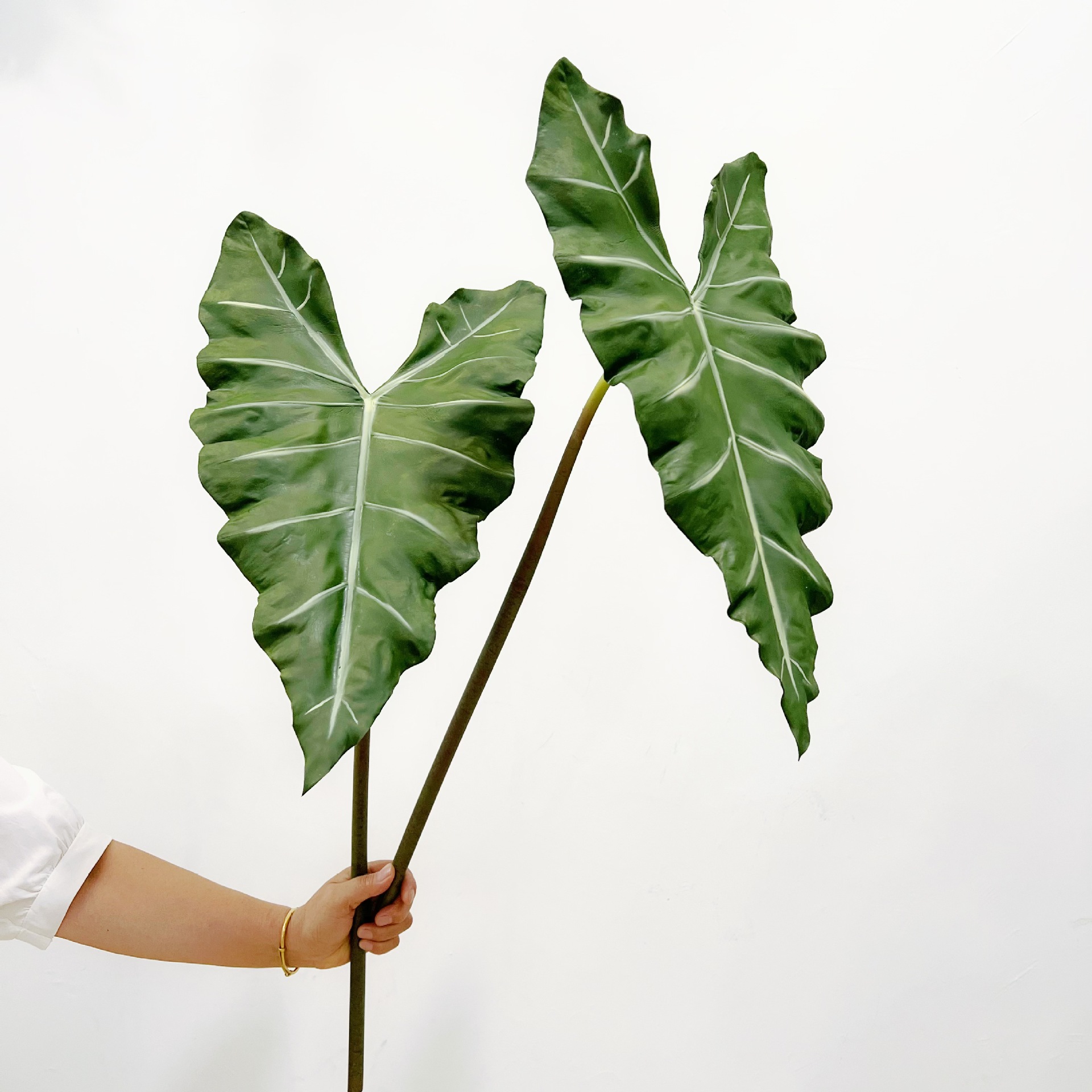 人工の長い人工緑の植物,人工の葉,室内装飾用,パーティーテー - Dracaena Marginata のレビューと価格