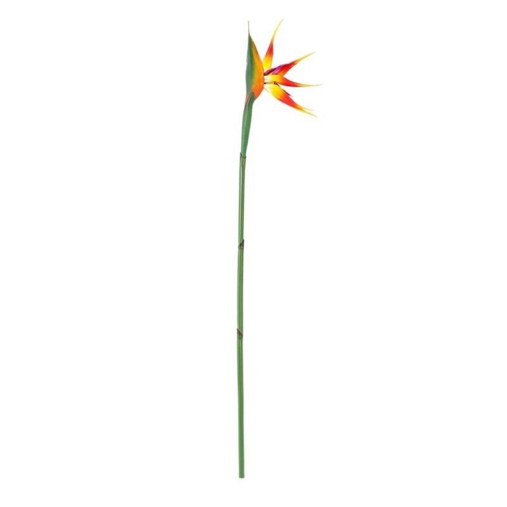 新しいロングステムの人工ストレリチア（極楽鳥花）装飾品、本物 - Bird Paradise Strelitzia のレビューと価格