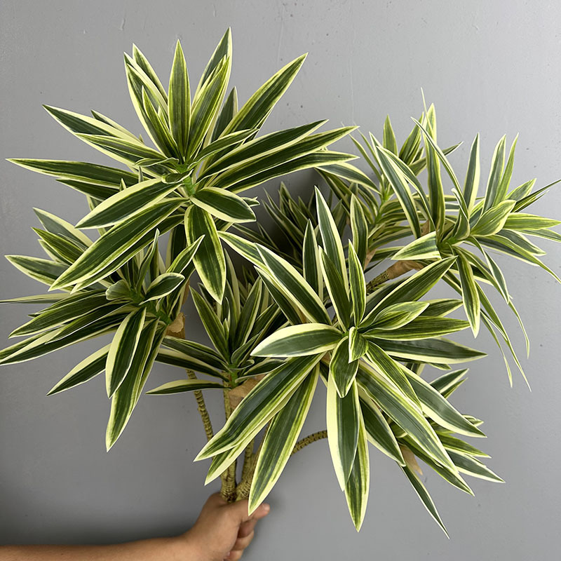 シミュレートされた緑の植物、3つの頭を持つユリの竹、ドラセナ - Dracaena Marginata のレビューと価格