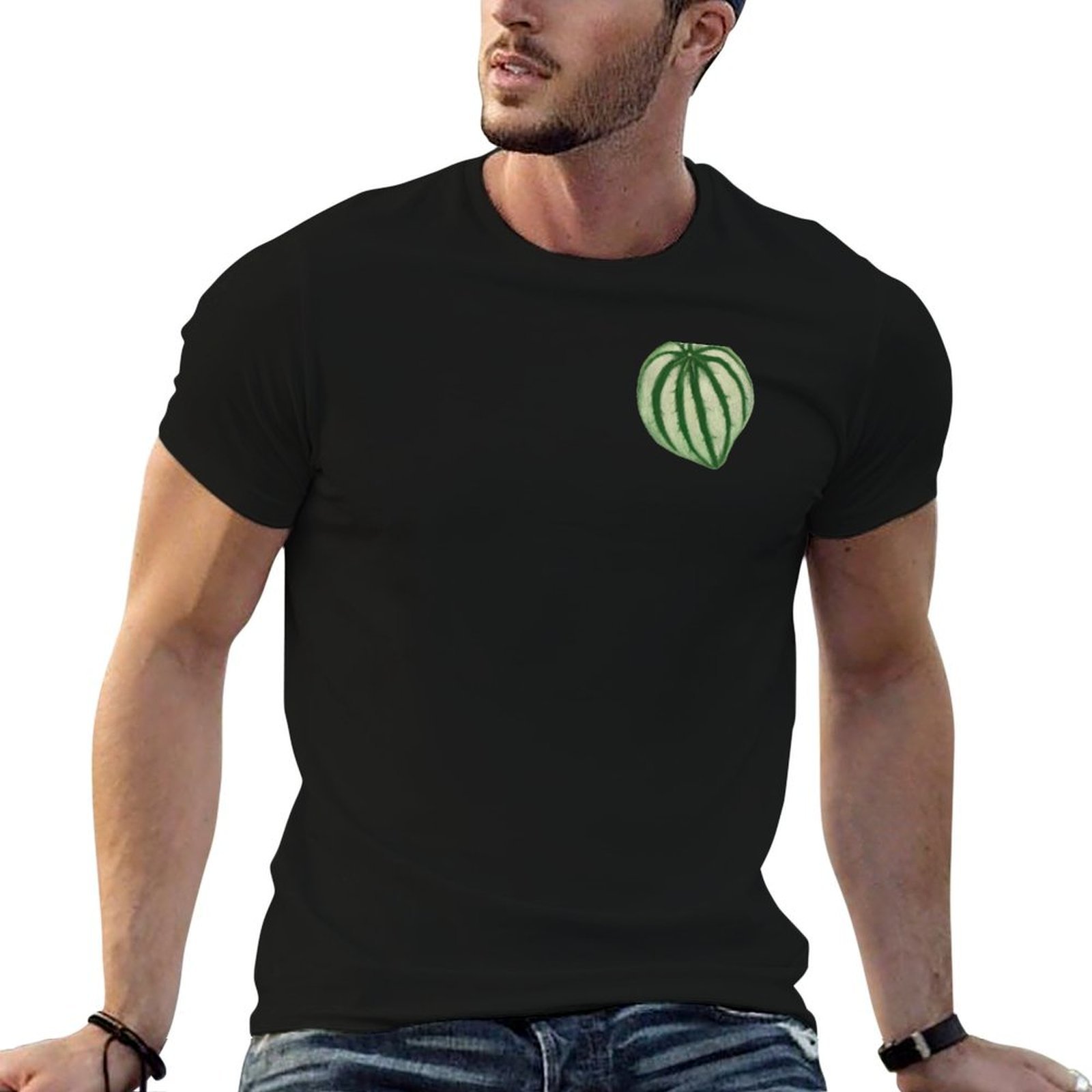 スイカ柄のペペロミアTシャツ。男の子向け、スポーツファン向け - Peperomia Watermelon のレビューと価格