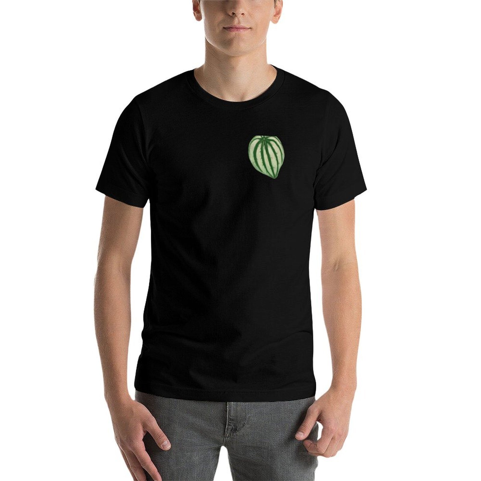 スイカ柄のペペロミアTシャツ。男の子向け、スポーツファン向け - Peperomia Watermelon のレビューと価格